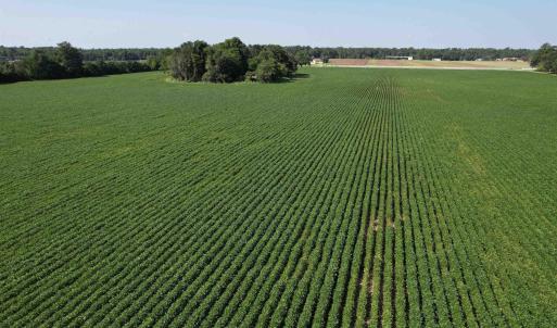 Photo #2 of TBD Sumter Hwy., Kingstree, SC 33.5 acres