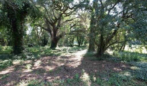 Photo #9 of TBD Sumter Hwy., Kingstree, SC 33.5 acres
