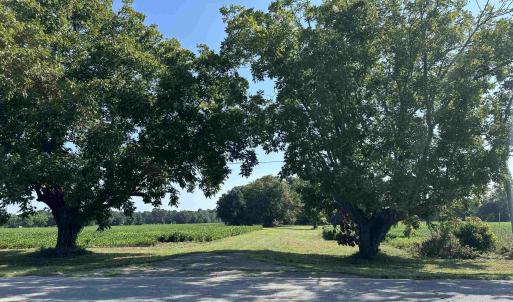 Photo #14 of TBD Sumter Hwy., Kingstree, SC 33.5 acres