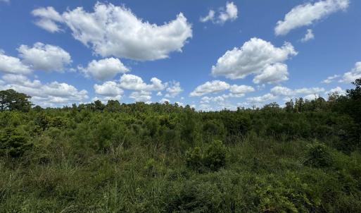 View of nature