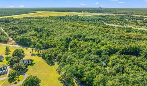 Bird's eye view of a forest