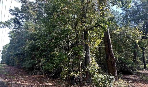 Photo #3 of TBD Main St., Nichols, SC 0.6 acres