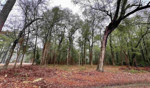 Photo #3 of TBD Main St., Nichols, SC 0.6 acres