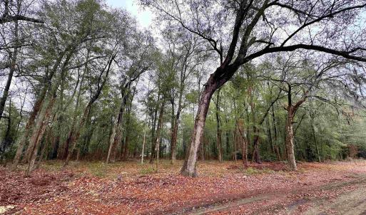 Photo #4 of TBD Main St., Nichols, SC 0.6 acres