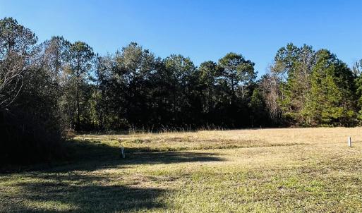 Photo #4 of Lot 31 Oak Bay Dr., Georgetown, SC 0.2 acres