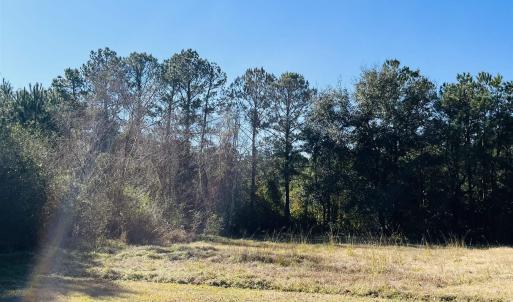 Photo #1 of Lot 31 Oak Bay Dr., Georgetown, SC 0.2 acres