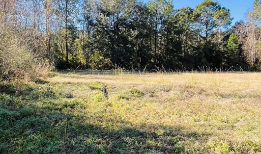 Photo #13 of Lot 31 Oak Bay Dr., Georgetown, SC 0.2 acres