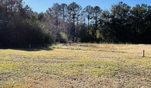 Photo #9 of Lot 31 Oak Bay Dr., Georgetown, SC 0.2 acres