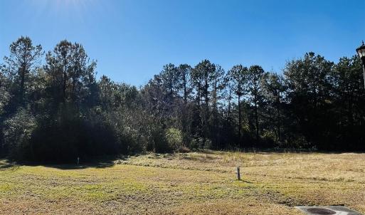 Photo #3 of Lot 31 Oak Bay Dr., Georgetown, SC 0.2 acres