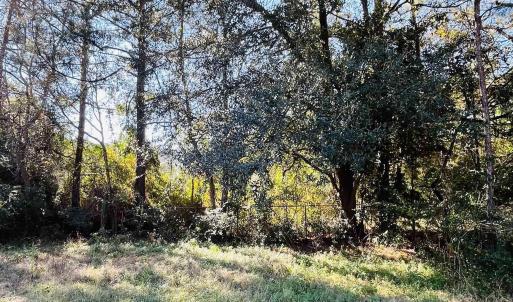 Photo #7 of Lot 31 Oak Bay Dr., Georgetown, SC 0.2 acres