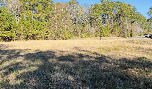 Photo #11 of Lot 31 Oak Bay Dr., Georgetown, SC 0.2 acres