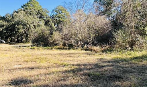 Photo #8 of Lot 31 Oak Bay Dr., Georgetown, SC 0.2 acres