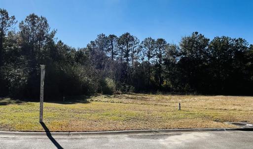 Photo #2 of Lot 31 Oak Bay Dr., Georgetown, SC 0.2 acres