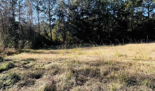 Photo #12 of Lot 31 Oak Bay Dr., Georgetown, SC 0.2 acres