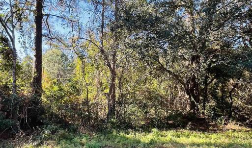 Photo #10 of Lot 31 Oak Bay Dr., Georgetown, SC 0.2 acres