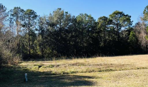 Photo #5 of Lot 31 Oak Bay Dr., Georgetown, SC 0.2 acres