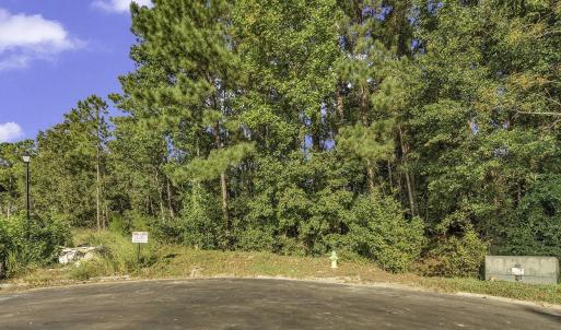 Photo #1 of 425 Pilot House Dr., Myrtle Beach, SC 0.4 acres