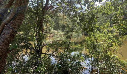 View of nature with a water view