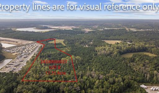 Photo #21 of TBD Old Reaves Ferry Rd., Conway, SC 35.6 acres