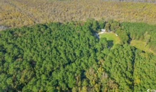 Photo #13 of TBD Mishoe Rd., Conway, SC 2.7 acres