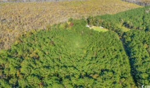 Photo #12 of TBD Mishoe Rd., Conway, SC 2.7 acres