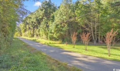 Photo #3 of TBD Mishoe Rd., Conway, SC 2.7 acres