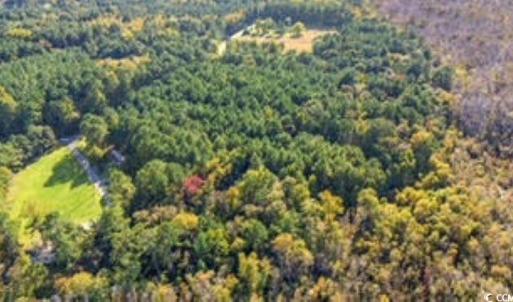 Photo #9 of TBD Mishoe Rd., Conway, SC 2.7 acres