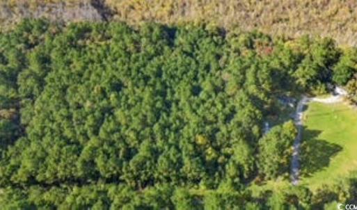 Photo #14 of TBD Mishoe Rd., Conway, SC 2.7 acres