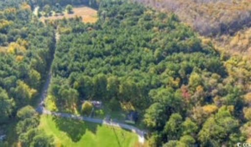 Photo #8 of TBD Mishoe Rd., Conway, SC 2.7 acres