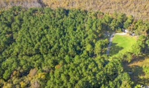 Photo #6 of TBD Mishoe Rd., Conway, SC 2.7 acres
