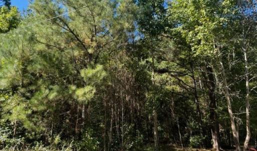 Photo #2 of TBD Mishoe Rd., Conway, SC 2.7 acres