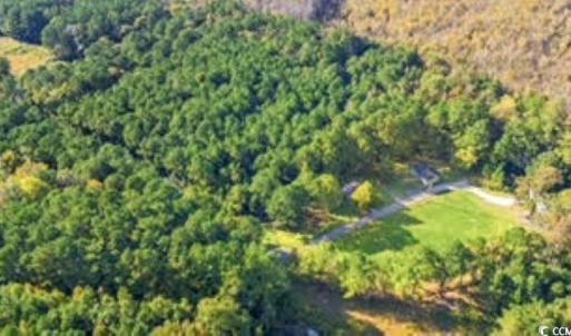 Photo #7 of TBD Mishoe Rd., Conway, SC 2.7 acres