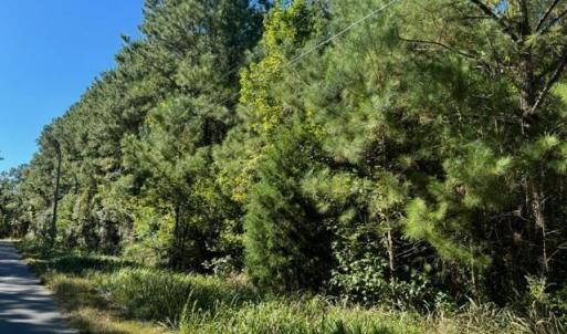 Photo #5 of TBD Mishoe Rd., Conway, SC 2.7 acres