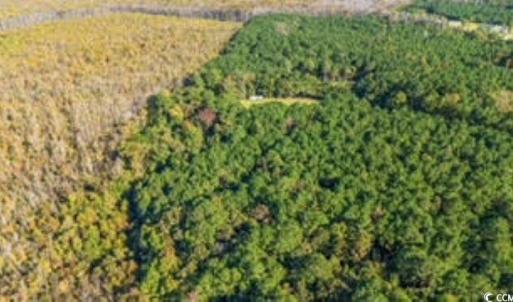Photo #11 of TBD Mishoe Rd., Conway, SC 2.7 acres