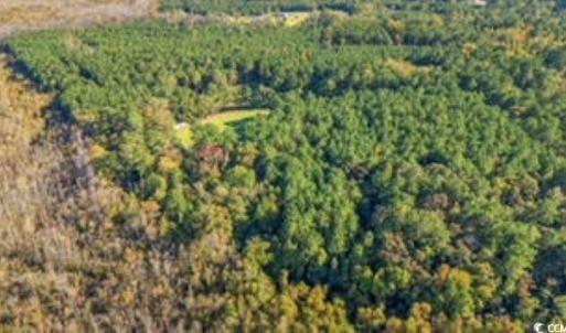 Photo #10 of TBD Mishoe Rd., Conway, SC 2.7 acres
