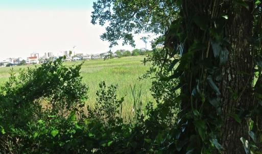 Photo #8 of TBD H C Lewis Ln., North Myrtle Beach, SC 3.3 acres