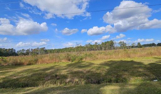 View of local wilderness