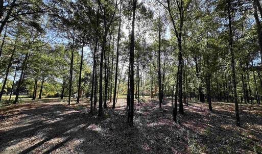 Photo #26 of TBD White Oak Dr., Manning, SC 20.5 acres
