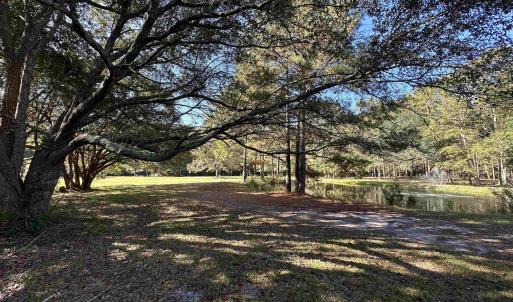 Photo #20 of TBD White Oak Dr., Manning, SC 20.5 acres