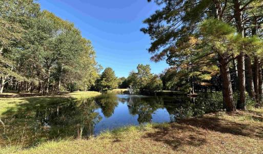 Photo #8 of TBD White Oak Dr., Manning, SC 20.5 acres