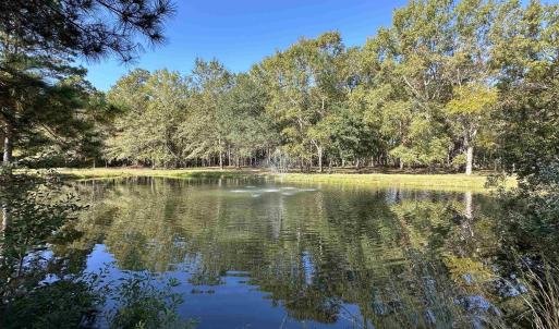 Photo #9 of TBD White Oak Dr., Manning, SC 20.5 acres