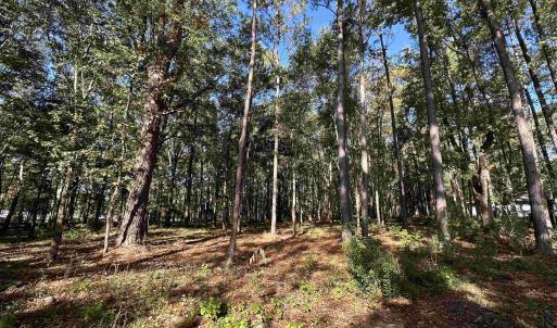 Photo #22 of TBD White Oak Dr., Manning, SC 20.5 acres