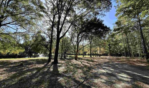Photo #24 of TBD White Oak Dr., Manning, SC 20.5 acres