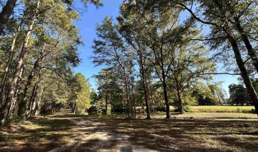 Photo #25 of 20.53 Acres-TBD White Oak Dr., Manning, SC 20.5 acres