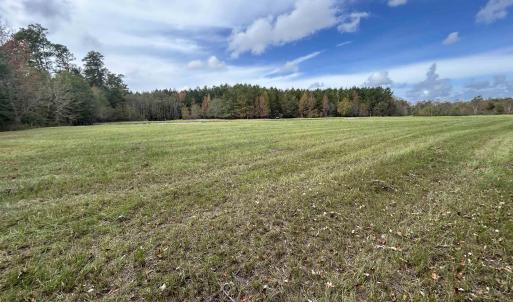 View of local wilderness with a rural view