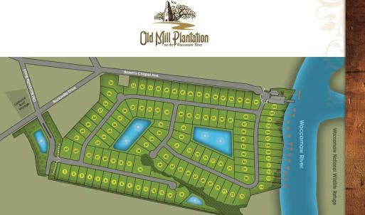 Photo #5 of TBD Old Bucksville Rd., Conway, SC 160.0 acres