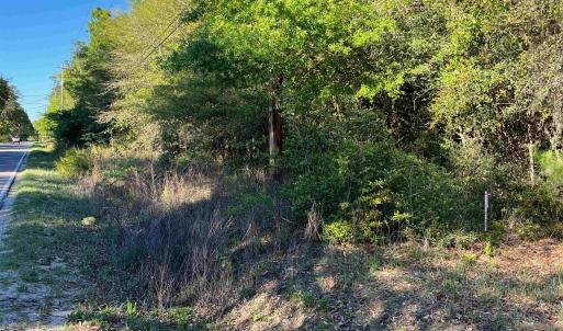 Photo #2 of 2564 Petigru Dr., Pawleys Island, SC 1.3 acres