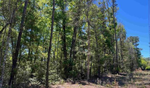 Photo #2 of 200 Petigru Dr., Pawleys Island, SC 1.0 acres