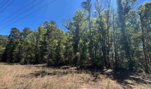 Photo #3 of 200 Petigru Dr., Pawleys Island, SC 1.0 acres