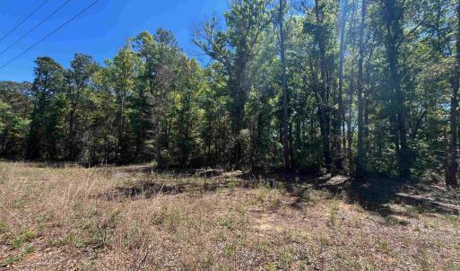 Photo #4 of 200 Petigru Dr., Pawleys Island, SC 1.0 acres